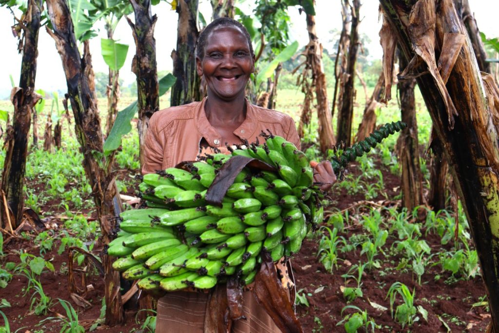 Widows Empowerment Program