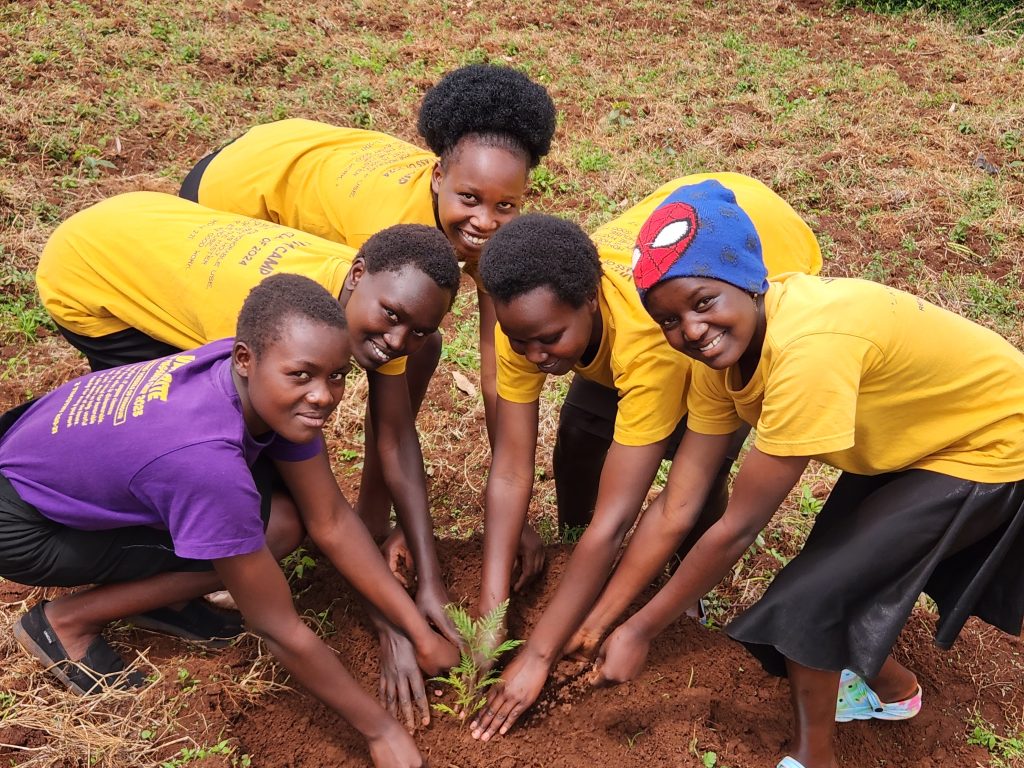 Discipleship And Mentorship Program