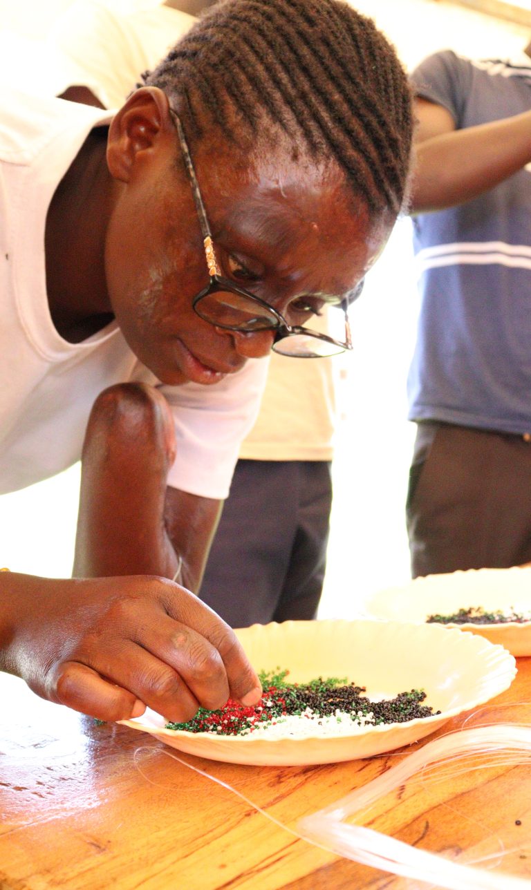 Discipleship And Mentorship Program