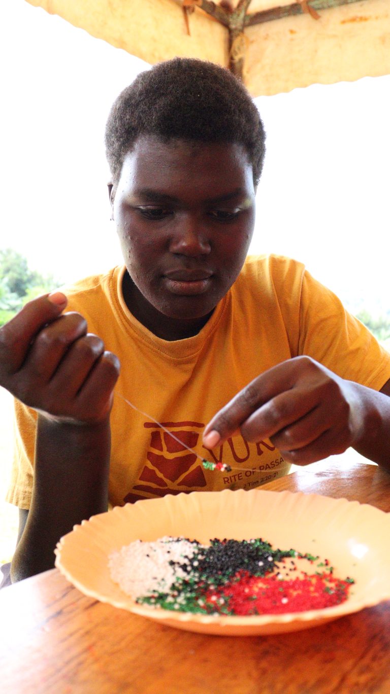 Discipleship And Mentorship Program