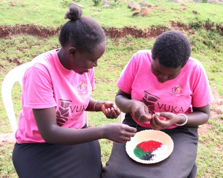 Discipleship And Mentorship Program