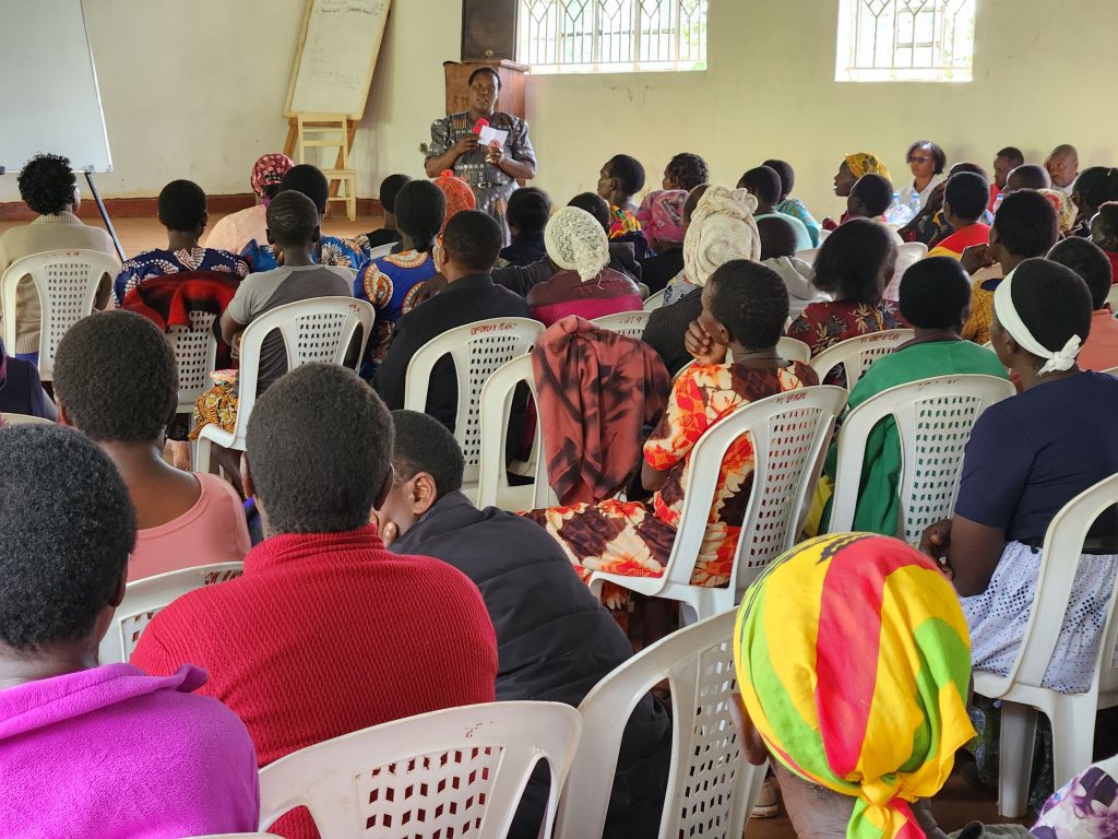 Widows Empowerment Program