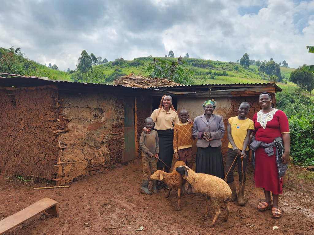 Widows Empowerment Program