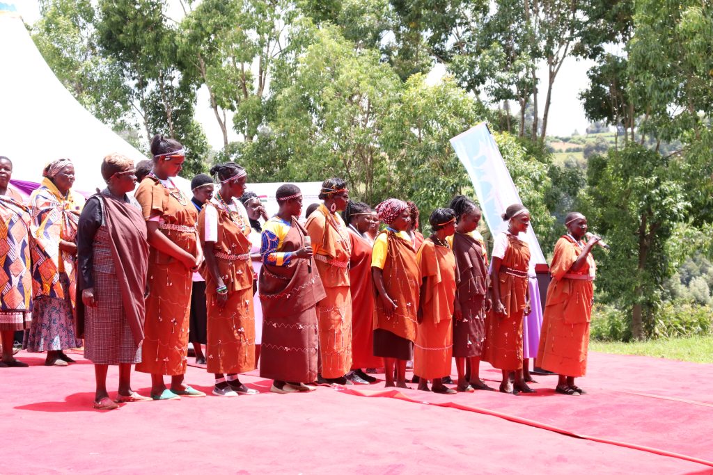 Widows Empowerment Program