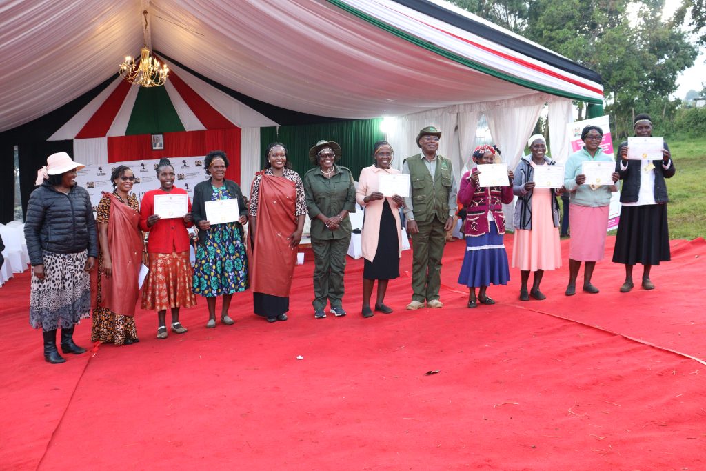 Widows Empowerment Program