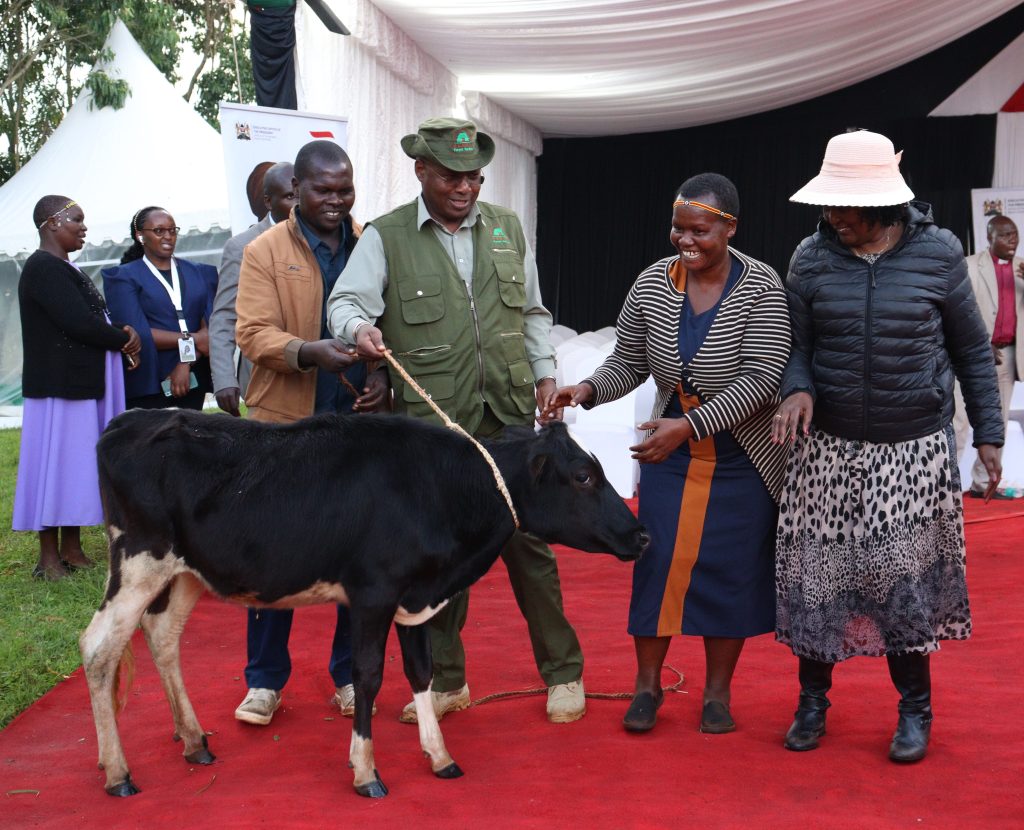 Widows Empowerment Program