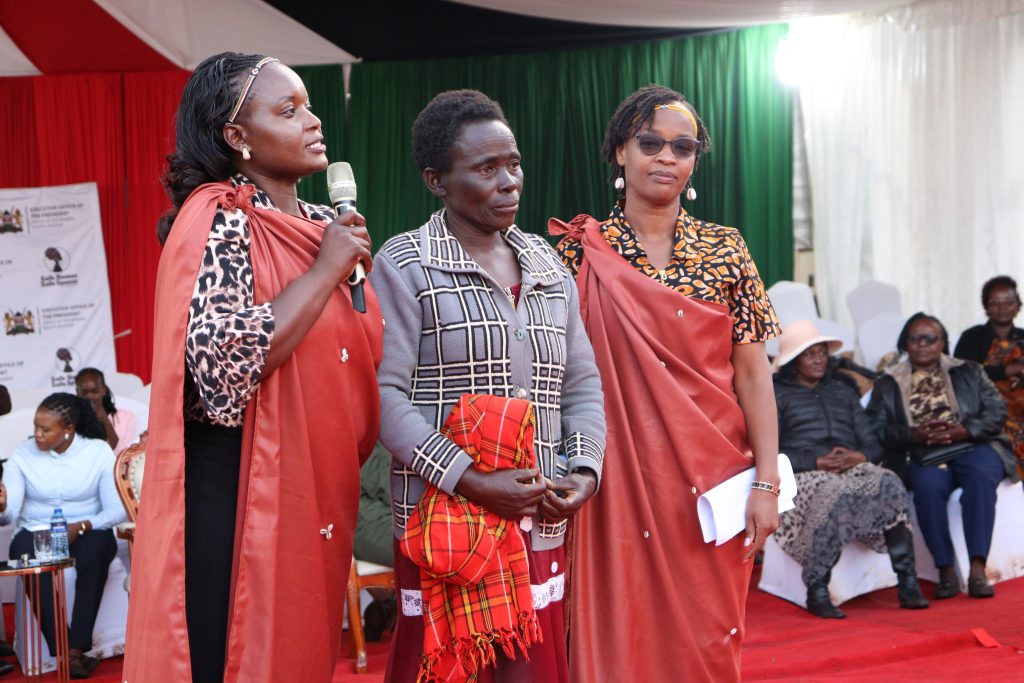 Widows Empowerment Program