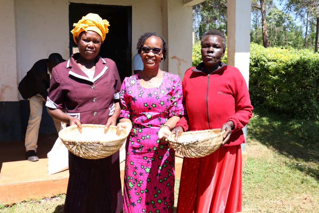 Widows Empowerment Program