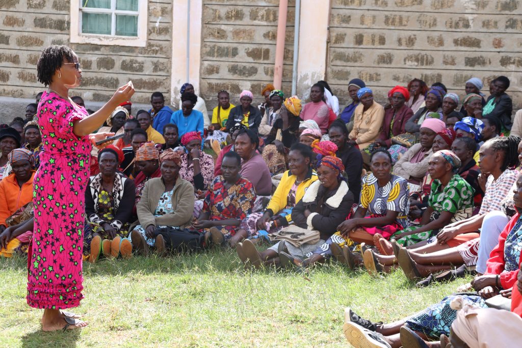 Widows Empowerment Program