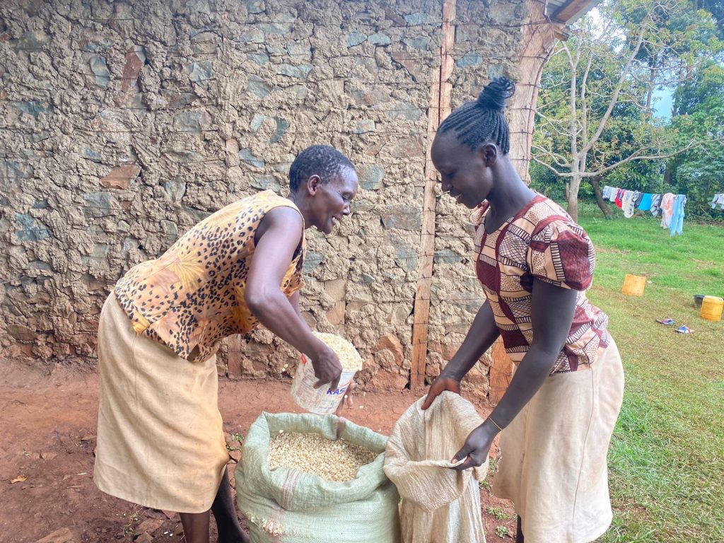 Widows Empowerment Program